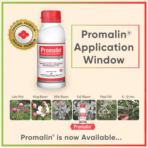 What is the dose of Promalin®? - Blog